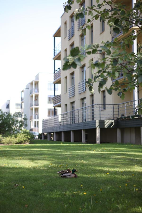 Cozy Kaivas, Free Parking, Self Check-in Dzīvoklis
